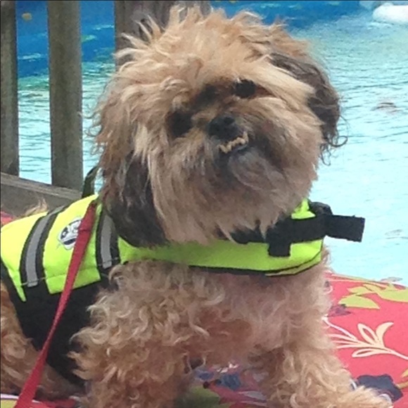 Meet your Posher, Joann - Picture 2 of 5